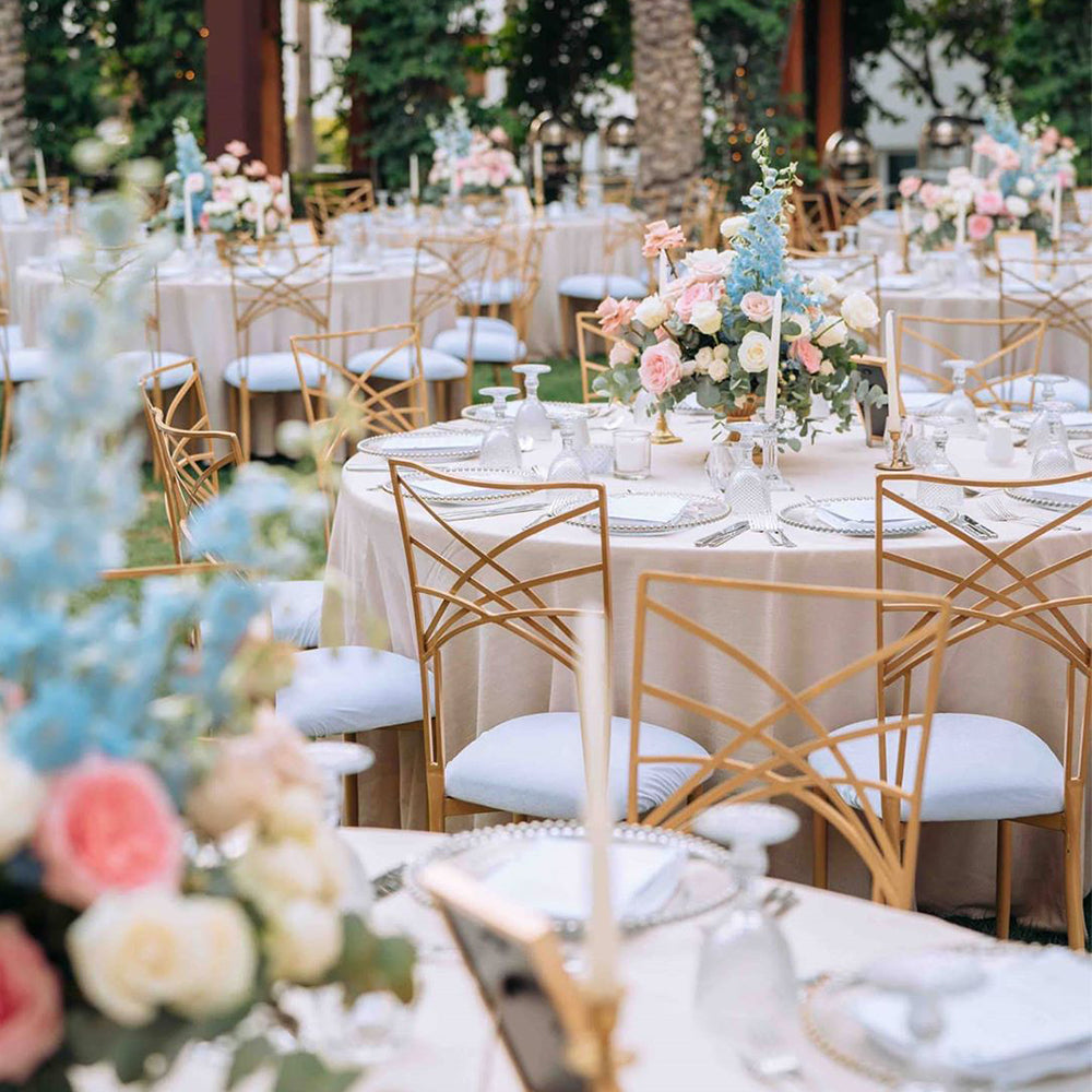 Chameleon Dining Chair